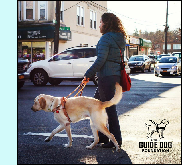 photo shows a woman crossing a street with a guide dog.